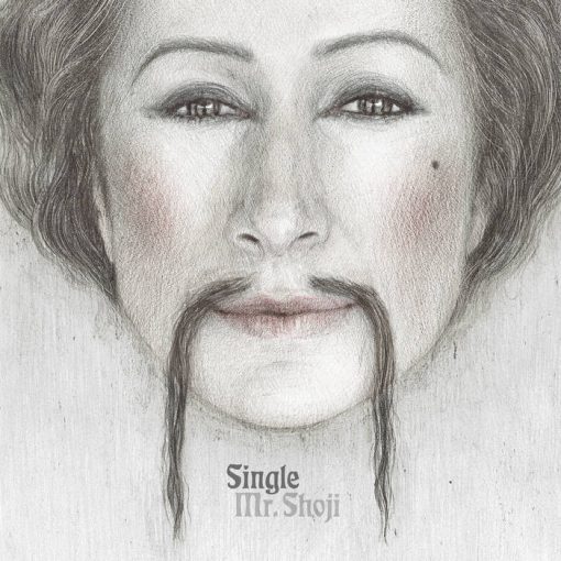 Single "Mr Shoji" comprar vinilo online