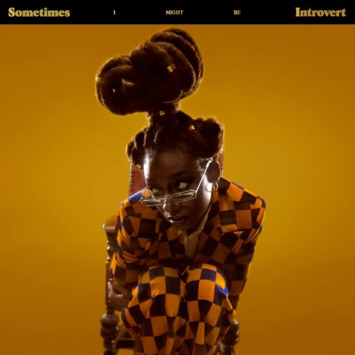 Little Simz "Sometimes I Might Be Introvert" comprar vinilo online
