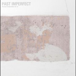 tindersticks-past-imperfect-best-of-comprar-vinilo-online