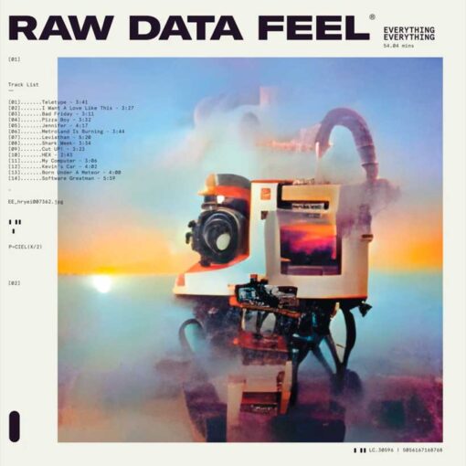 Everything-Everithing-Raw-Data-Feel-comprar-vinilo-online