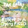 The-Beths-Expert-in-a-Dying-Field-comprar-vinilo