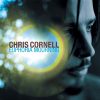 Chris-Cornell-Euphoria-Mourning-comprar-lp-online.