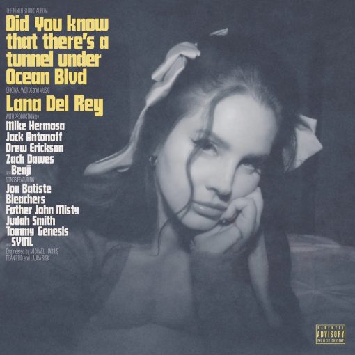 Lana-del-Rey-Did-You-Know-That-There-s-A-Tunnel-Under-Ocean-Blvd-comprar-lp-online
