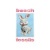 beach-fossils-bunny-comprar-lp-online