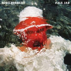 Pale-Jay-Bewilderment-Red-LP-comprar-lp-online