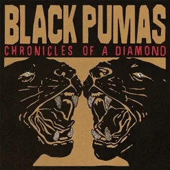 black-pumas-chronicles-of-a-diamond-comprar-lp-online