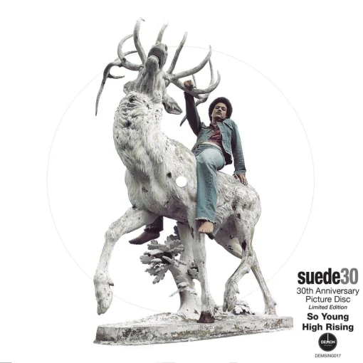 suede-so-young-single-picture-disc-comprar-online